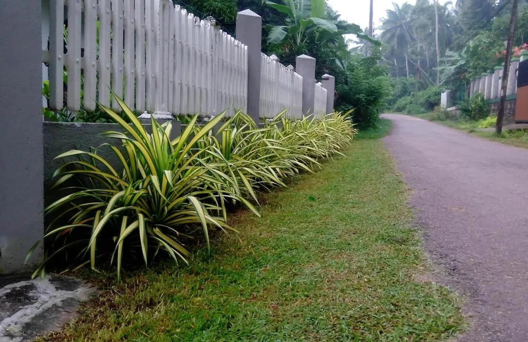 Le Meridien BnB Home Stay-1