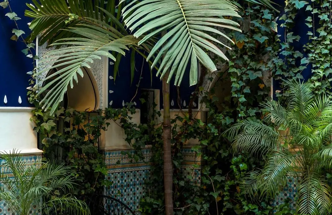 Riad Bindoo & Spa-1