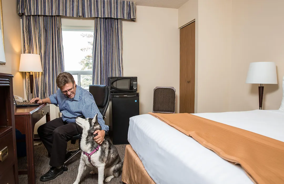 Travelodge By Wyndham Edmonton South-1