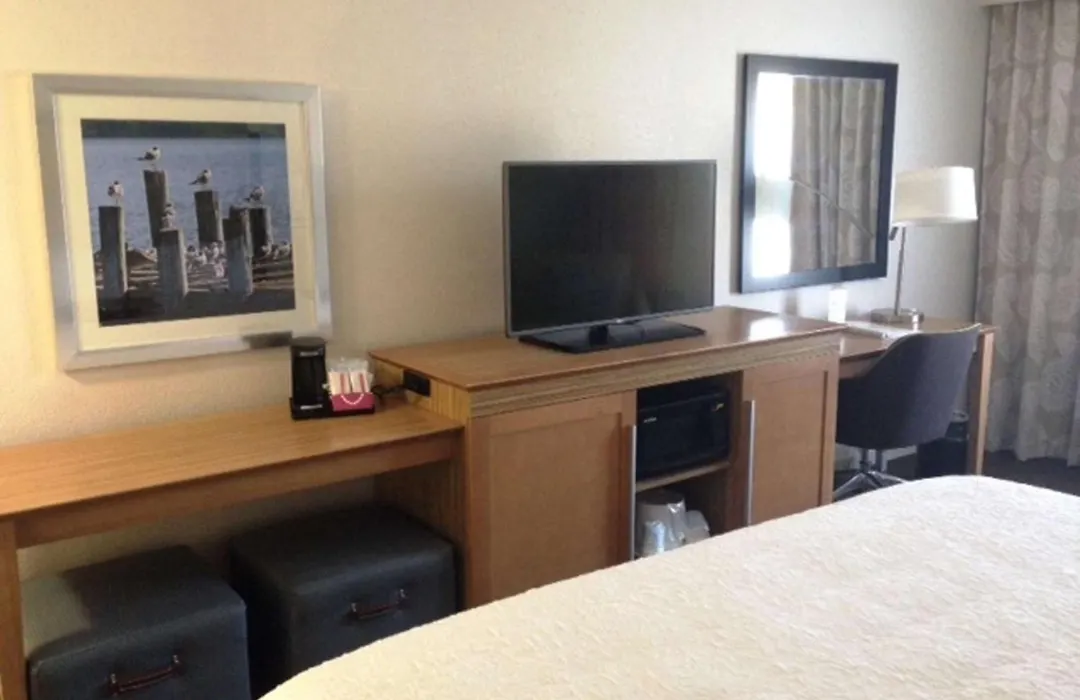 Hampton Inn Tampa-Rocky Point-1