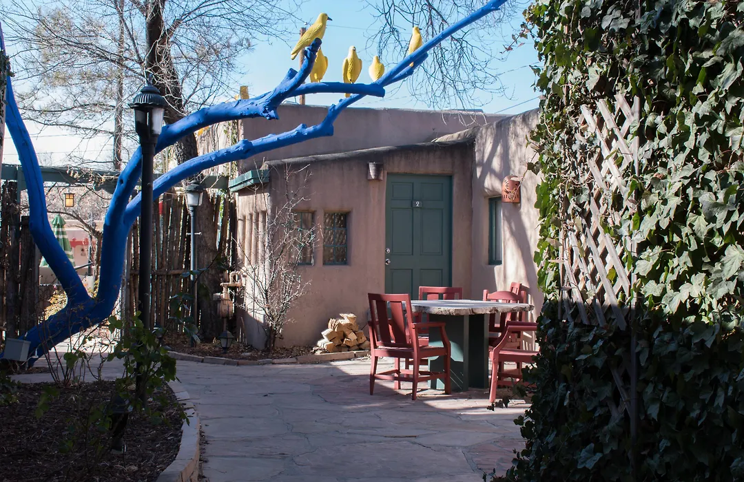 Las Palomas-1