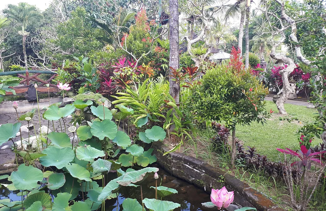 Cendana Resort & Spa Ubud By Mahaputra-1