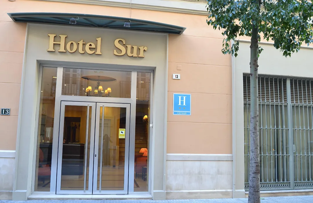 Hotel Sur Malaga-1