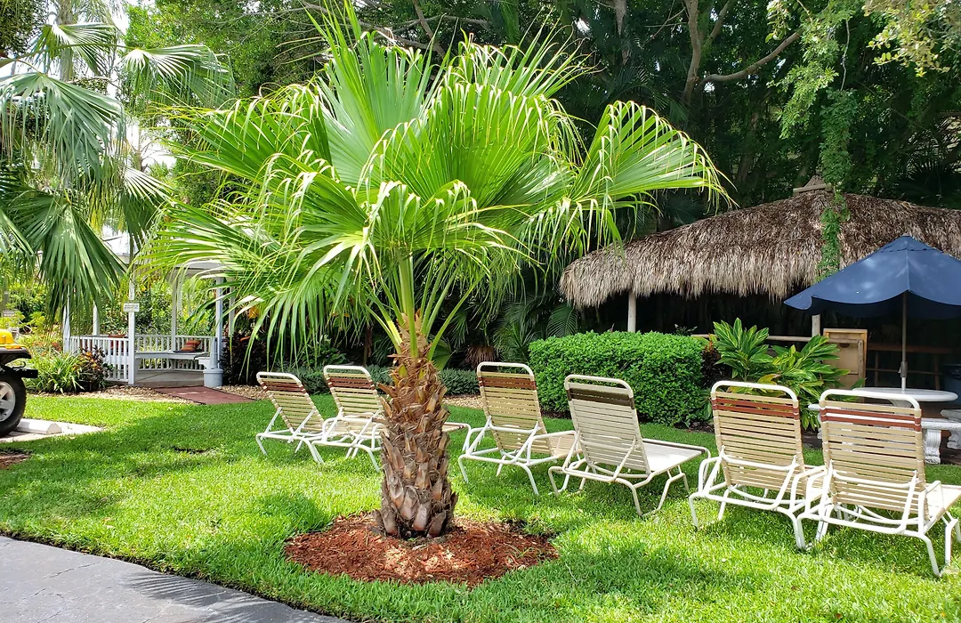 Tropical Beach Resorts - Sarasota-1