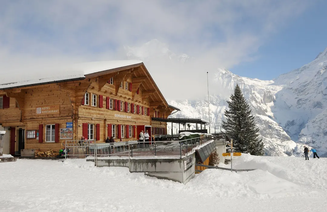 Alpinhotel Bort-1
