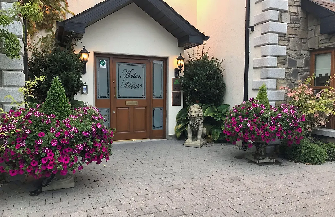 Avlon House Bed And Breakfast-1