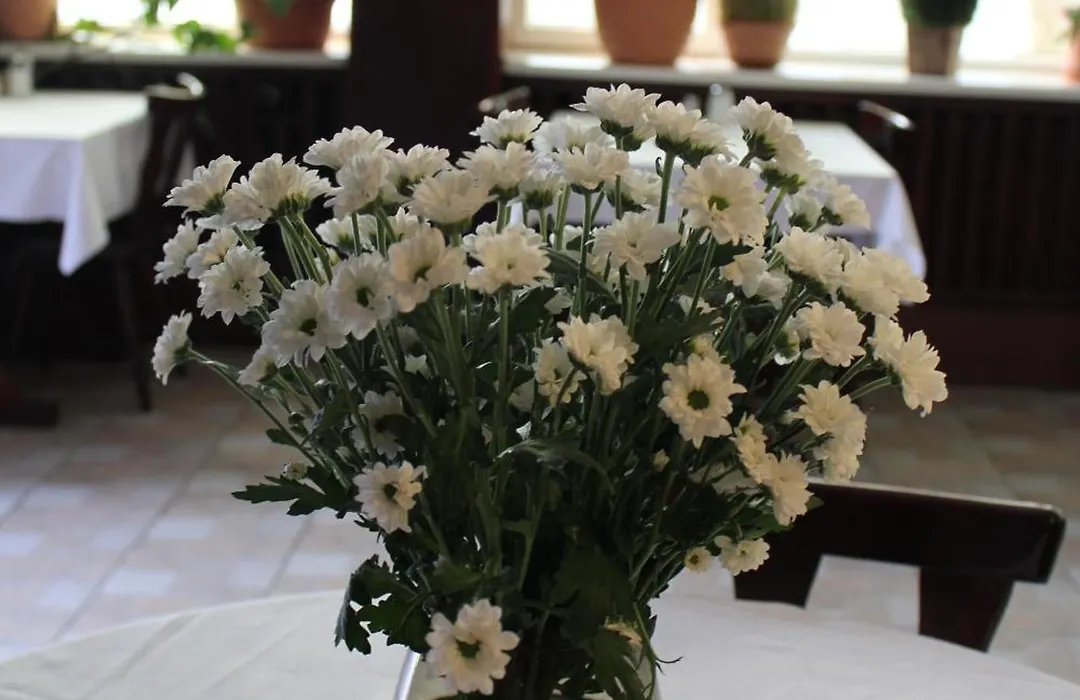 Hotel Sickinger Hof-1