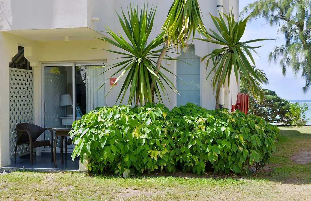 C Mauritius Palmar (Adults Only)-1