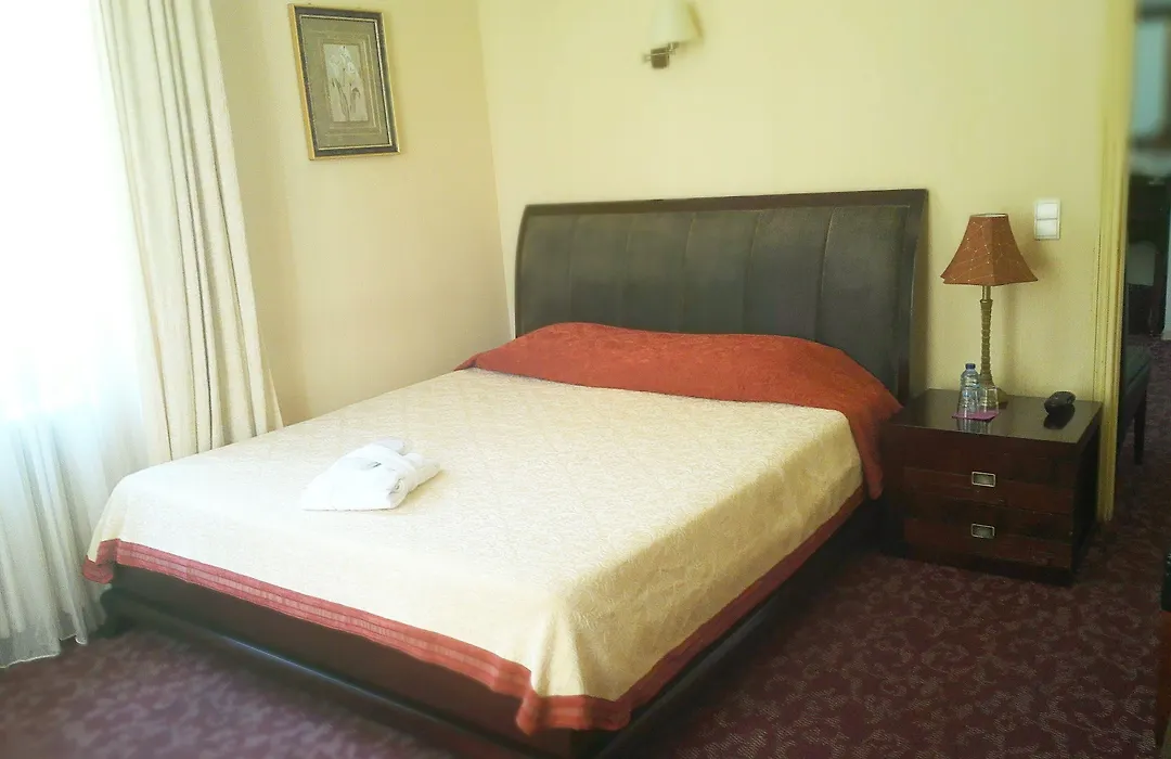Hotel Alexandre III-1