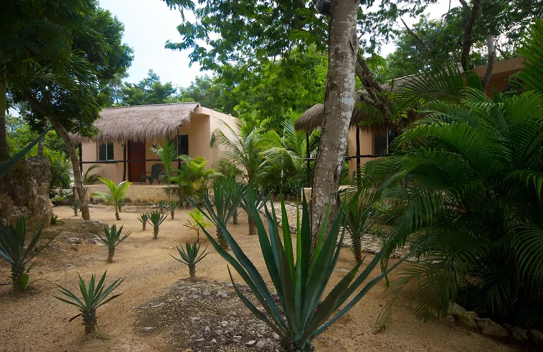 Casa De Las Tortugas I Tour Akumal-1