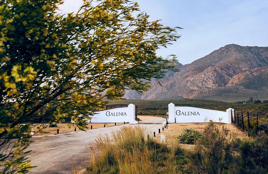 Galenia Estate-1