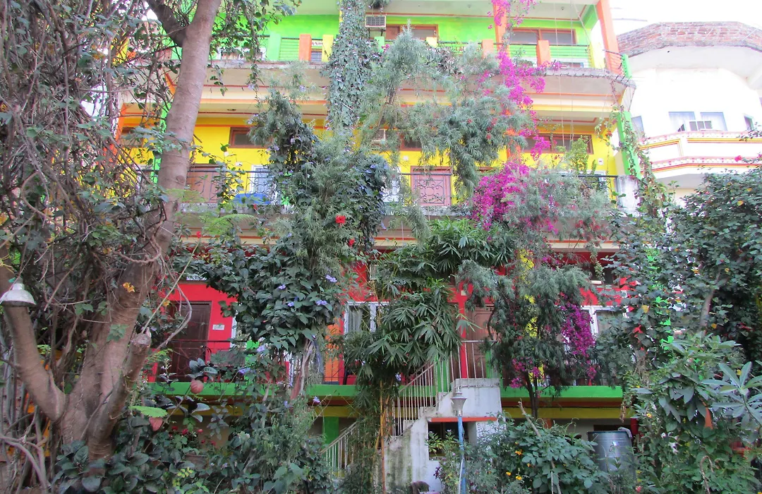 Hotel Zen-1