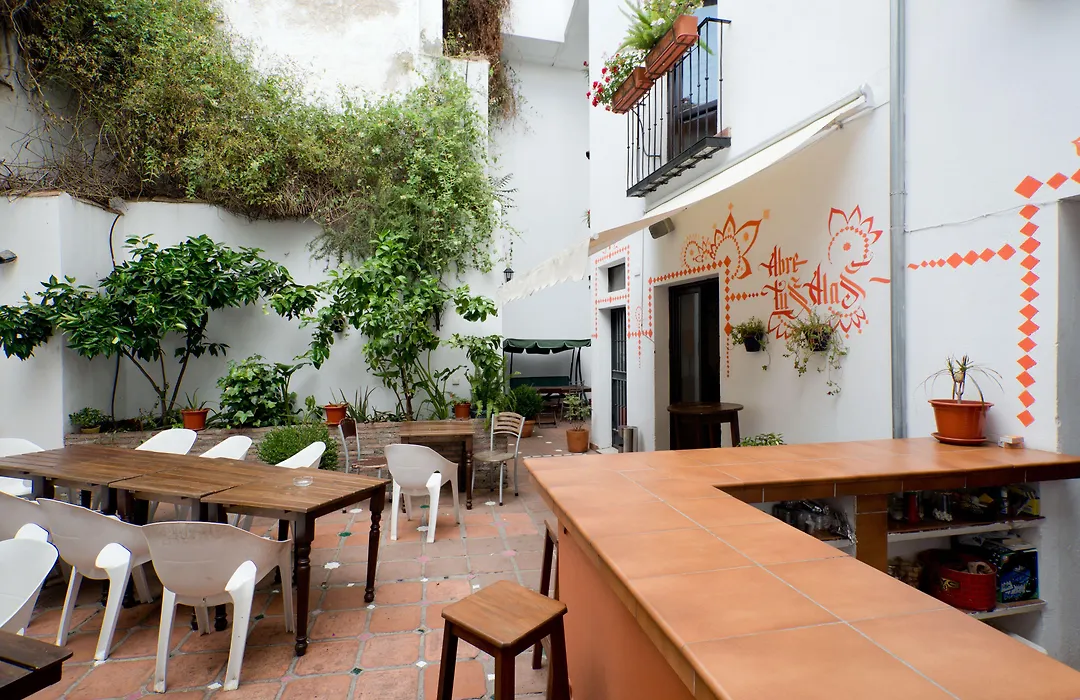 Oasis Backpackers' Hostel Granada-1