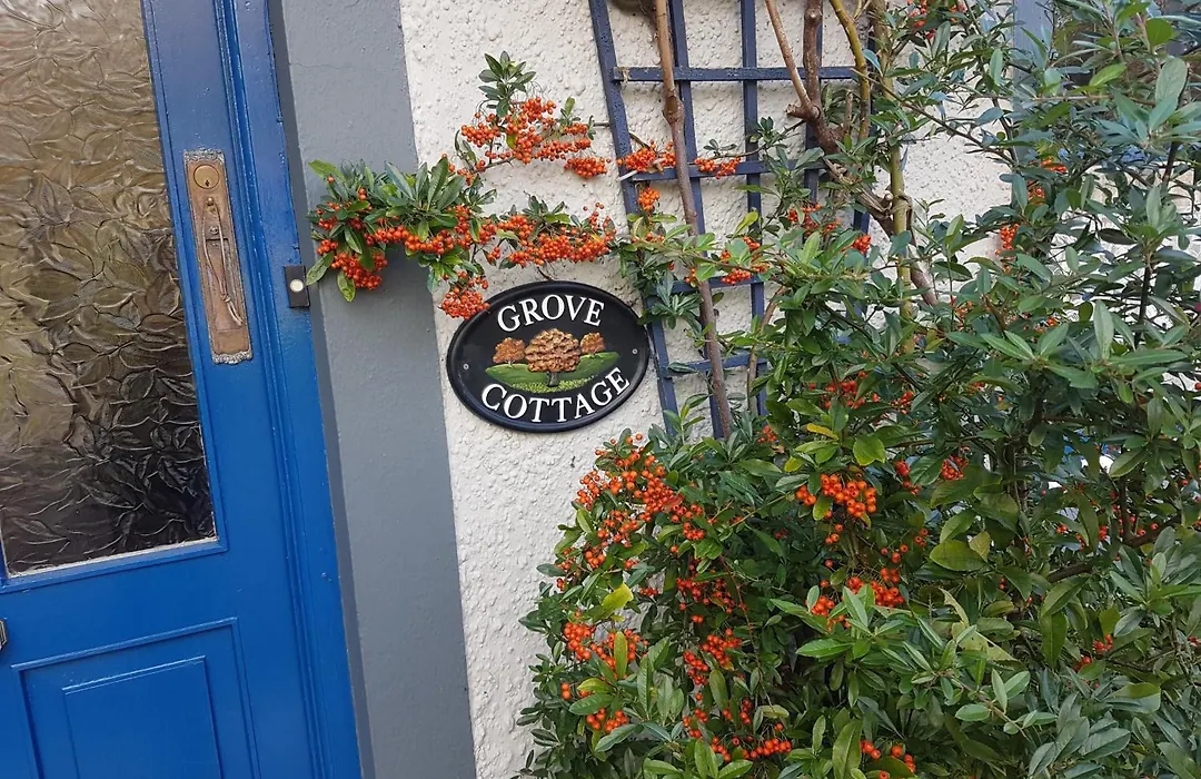 Boffin Lodge Guest House-1