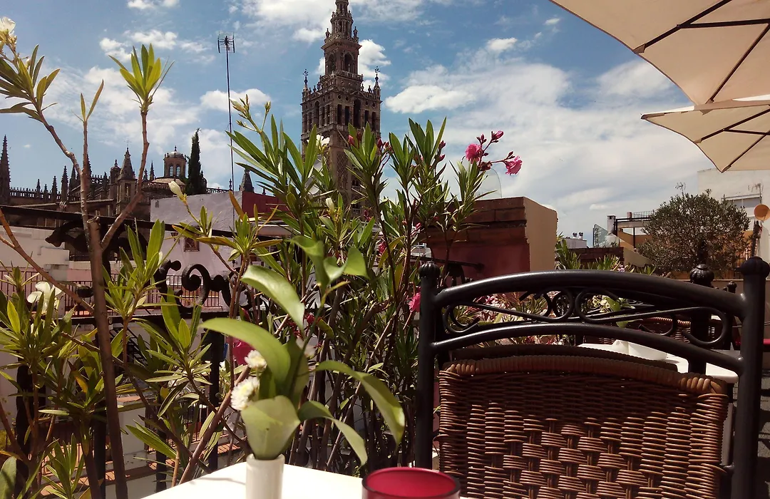 Hotel Palacio Alcázar-1