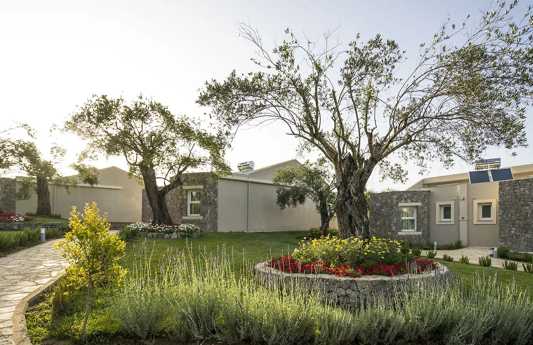 Art Hotel Debono-1