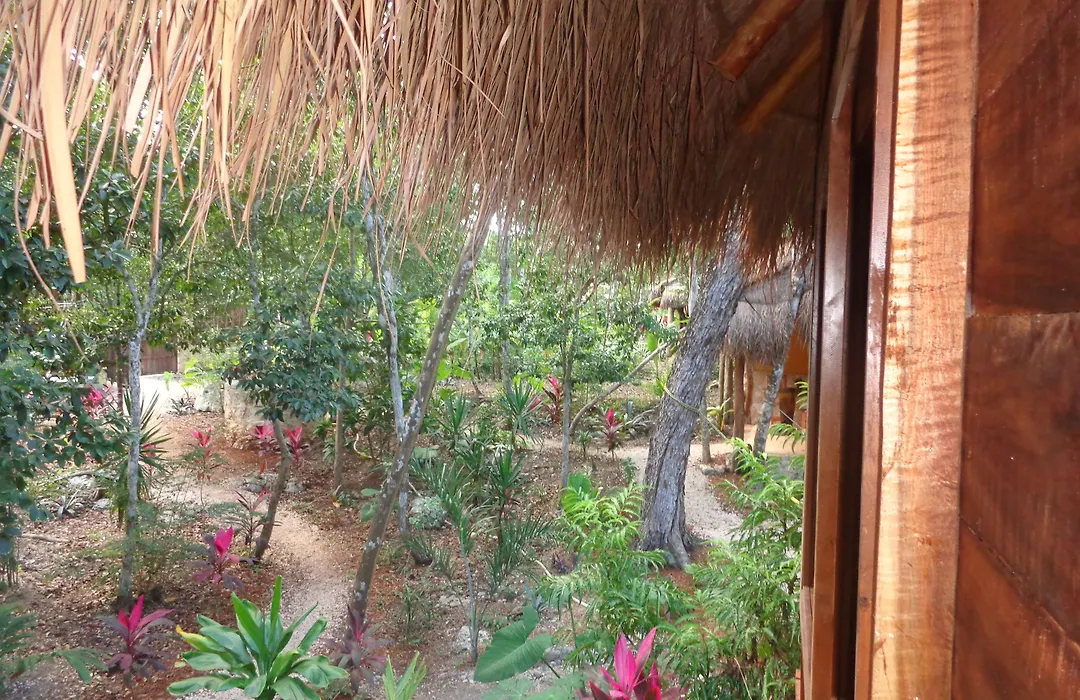 Casa Mango-1