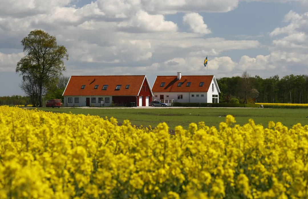 Hobykrok B&B-1