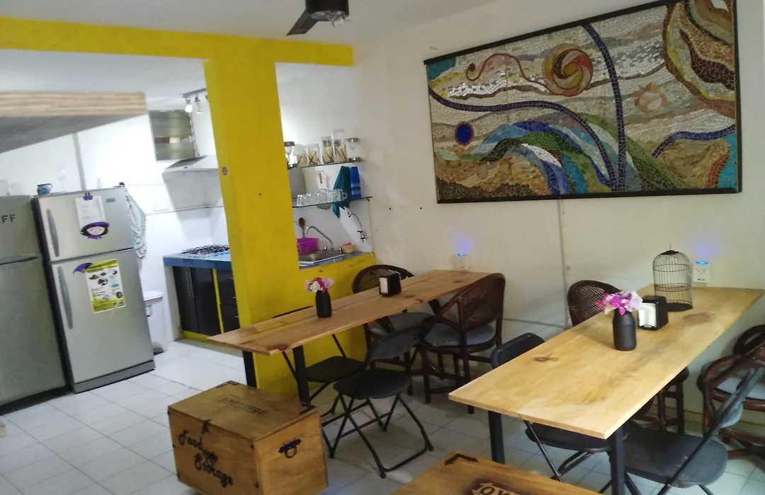 Oyster Hostel-1