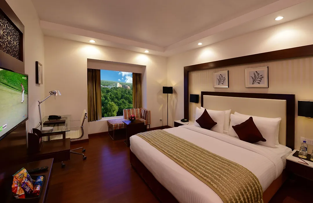 Lords Inn Jodhpur-1