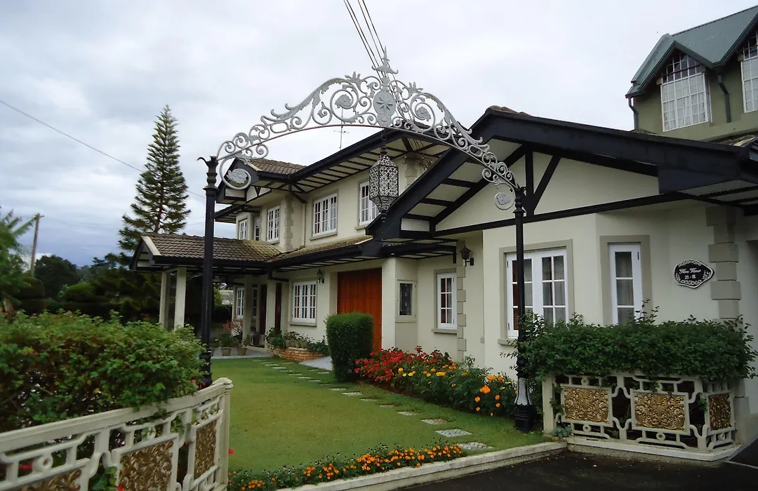 Cocoon Hills-1