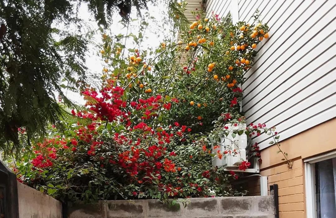 Hostal Abrazo de Maipu-1