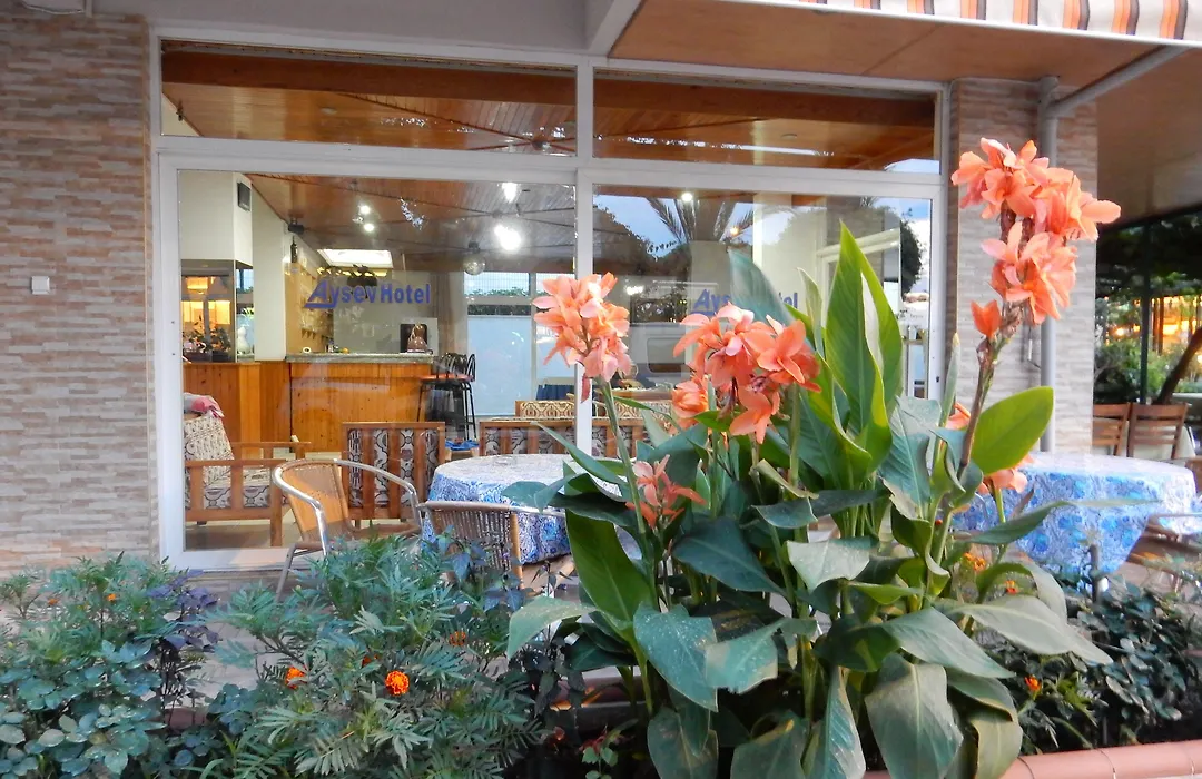 Aysev Hotel-1