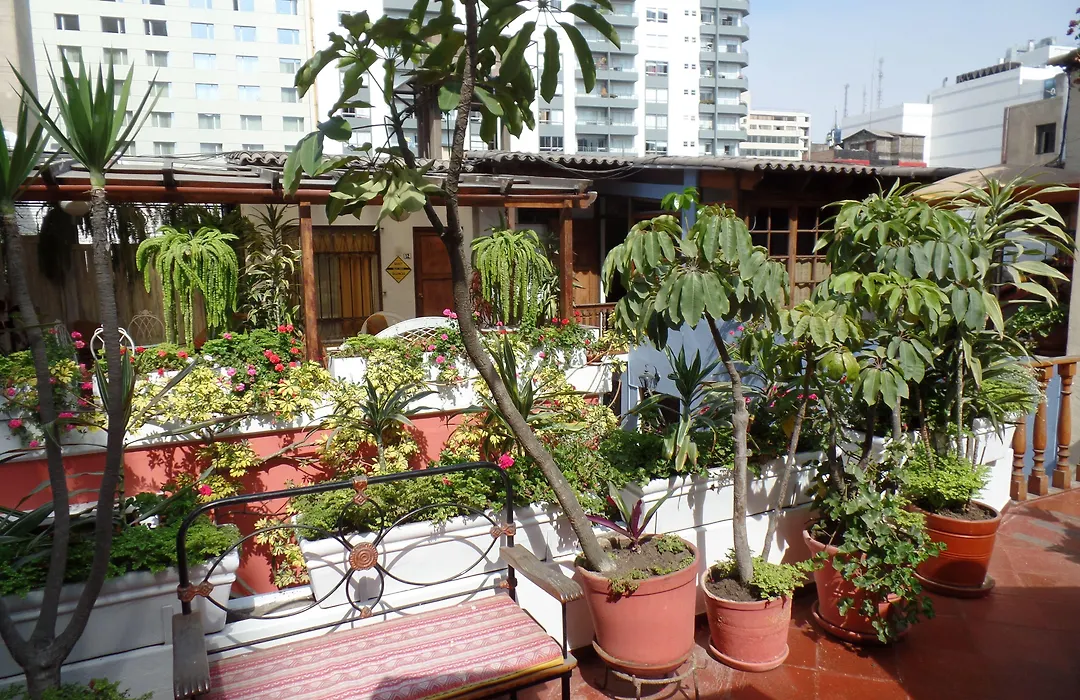 Ayenda El Patio Miraflores-1
