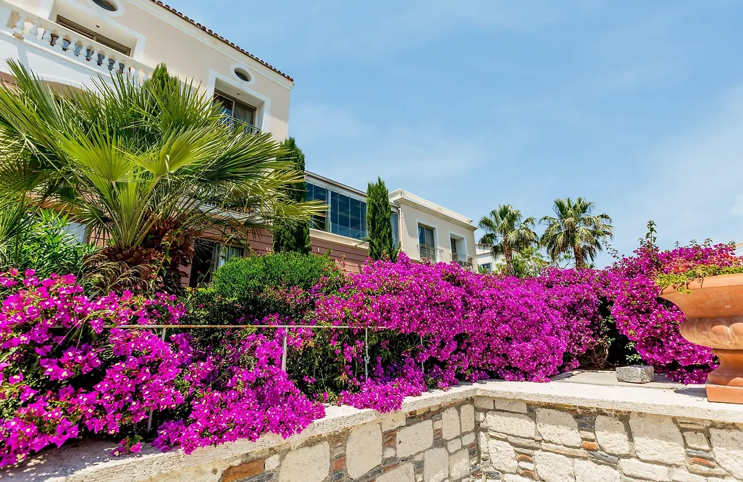 Antmare Hotel-1