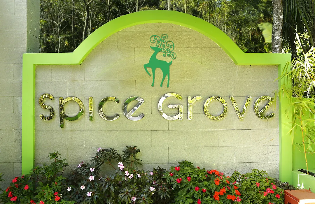 Spice Grove-1