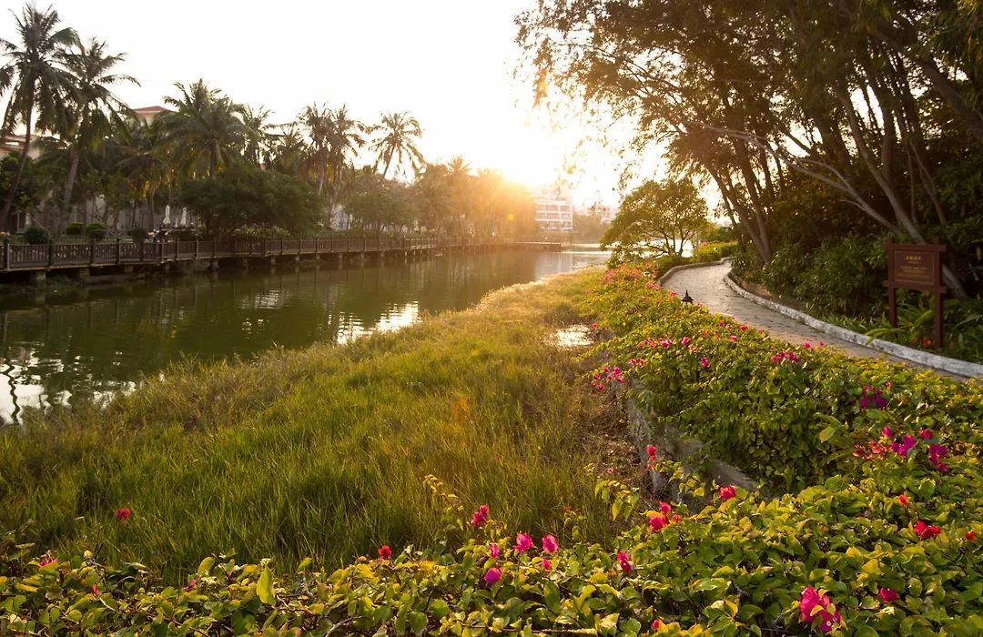 Resort Golden Palm-1