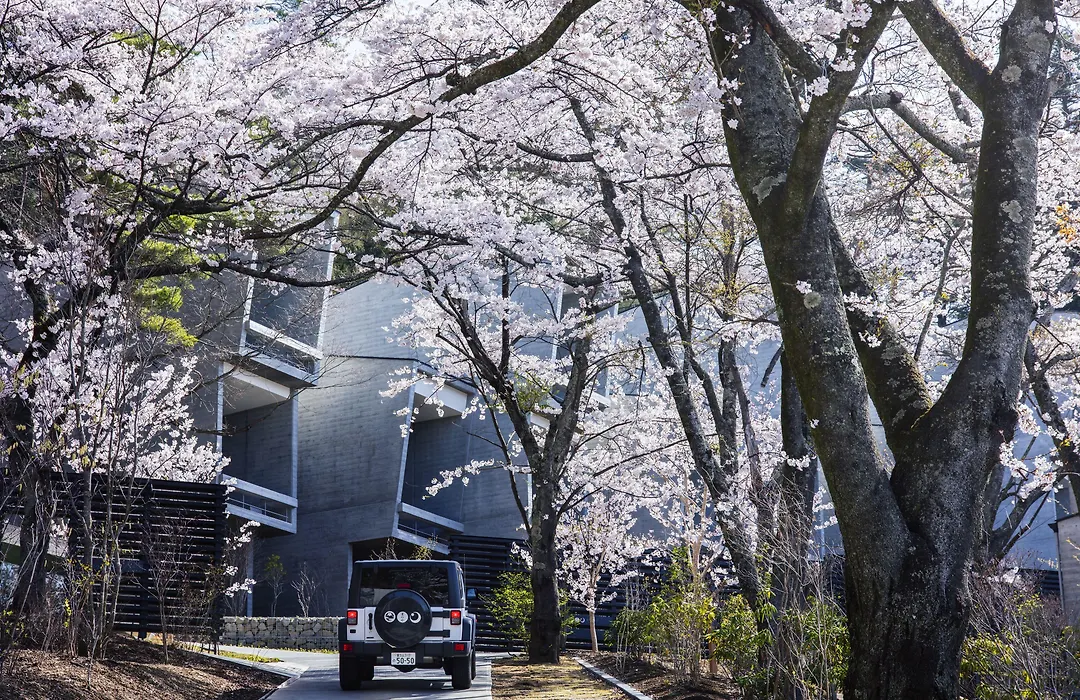 Hoshinoya Fuji-1
