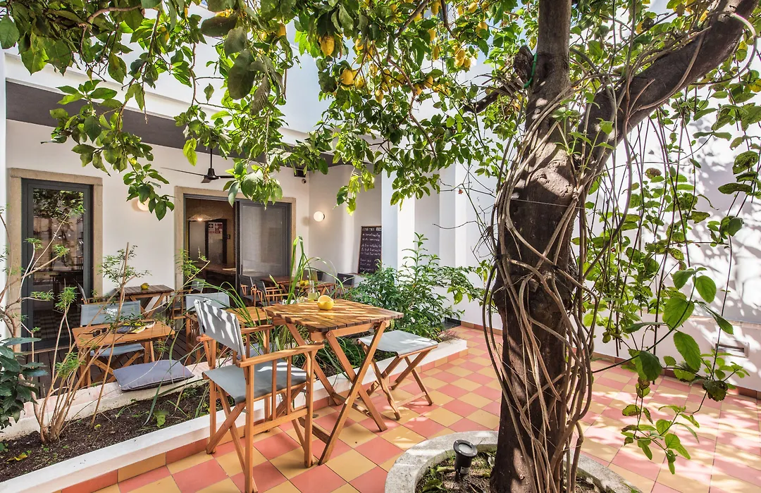 Lemon Tree Stay-1