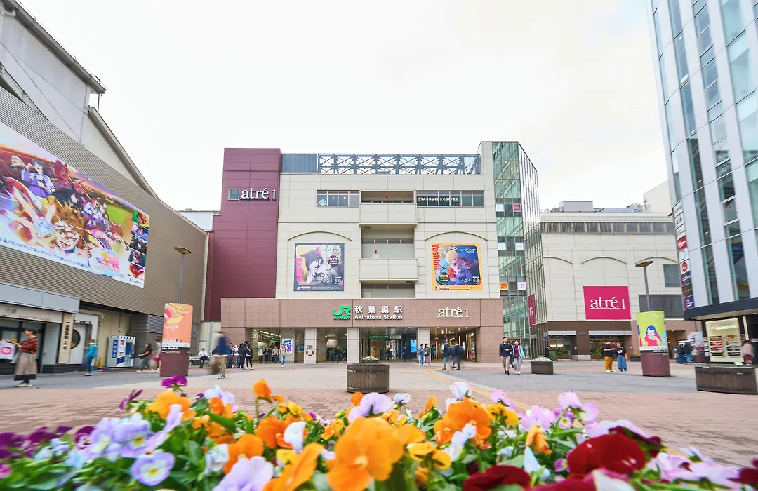 Hotel Resol Akihabara-1