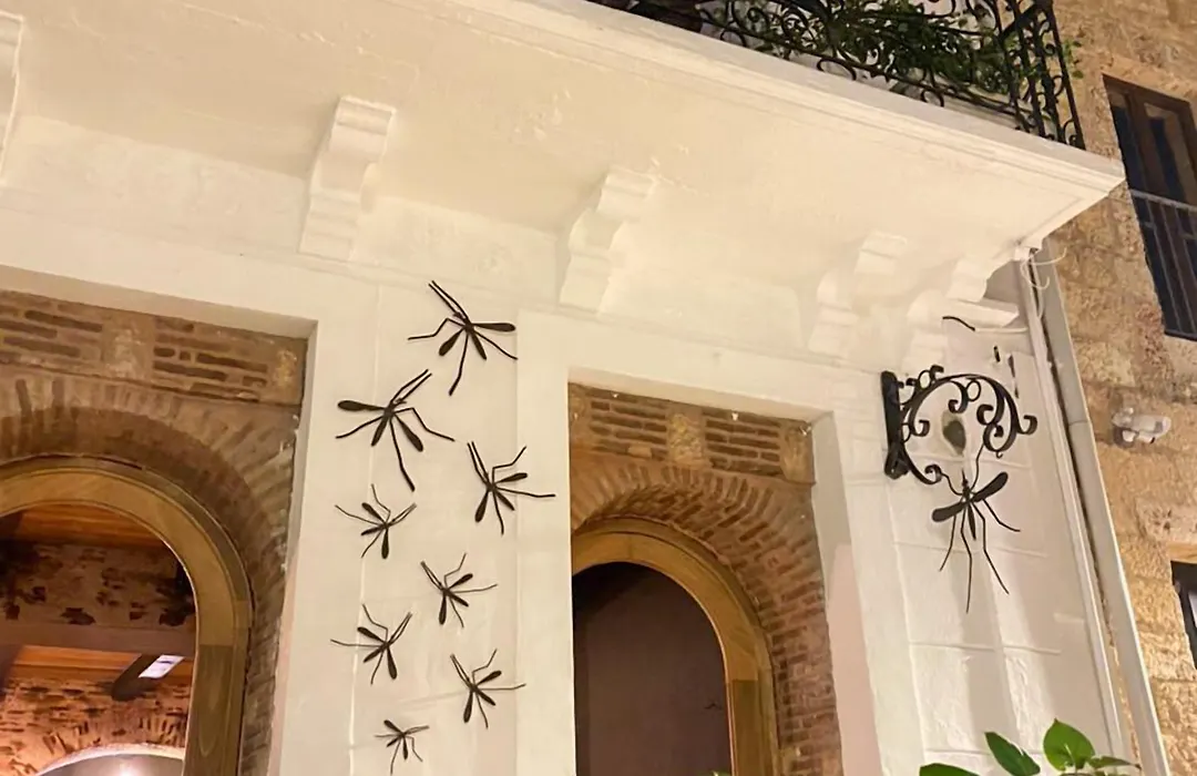 Mosquito Boutique Hotel Zona Colonial-1