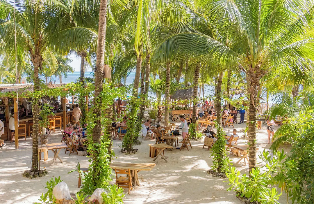 Mayan Monkey Isla Mujeres - Social Hotel (Adults Only)-1