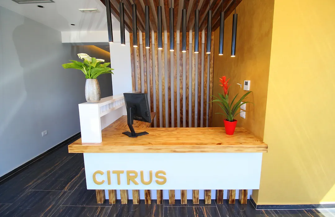 Hotel Citrus-1