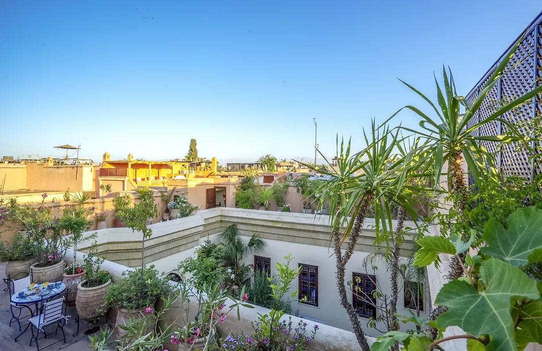 Riad Il Parco dei Principi-1