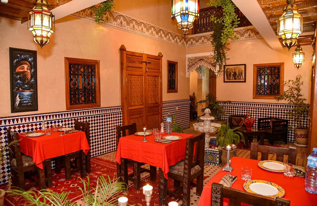 Riad ZANOUBA-1