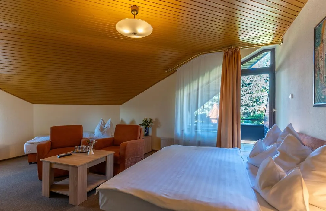Hotel Molnar-1