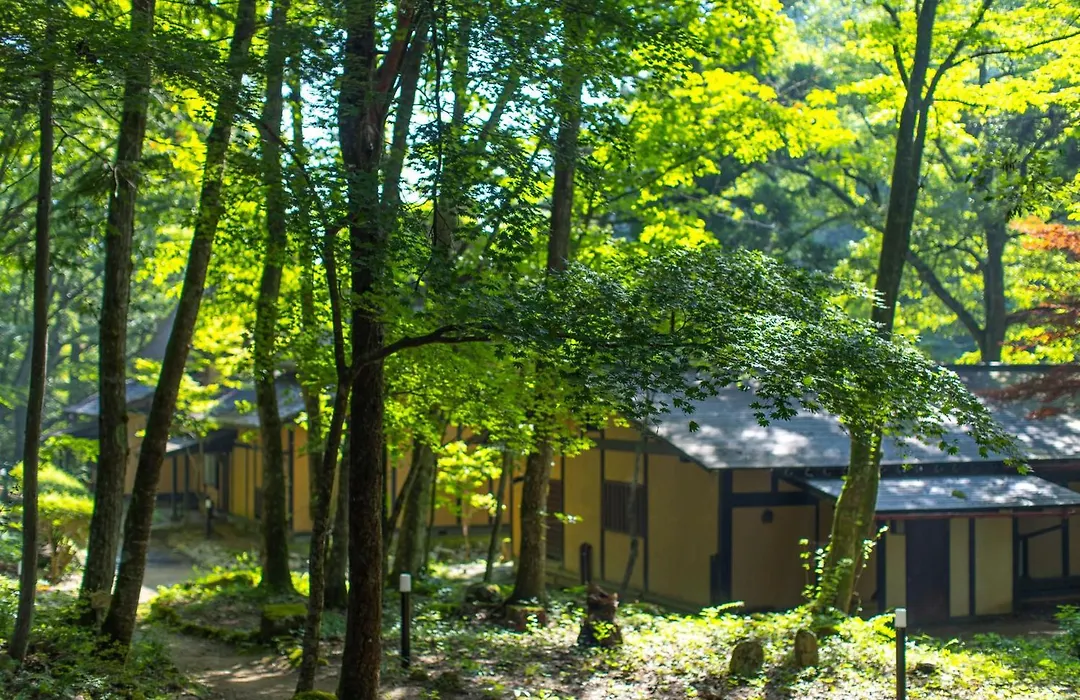 Wanosato-1