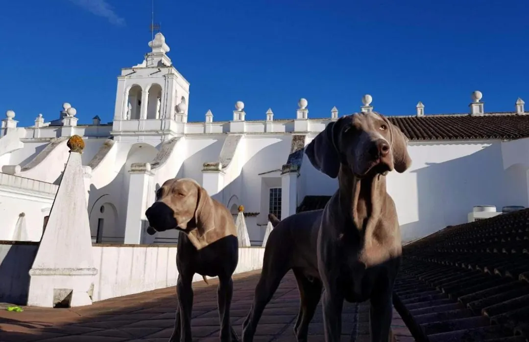 Convento do Espinheiro, Historic Hotel&Spa-1