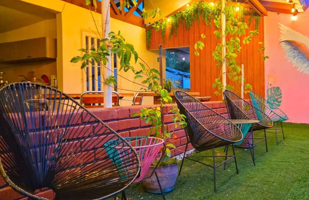 Roof Hostel-1