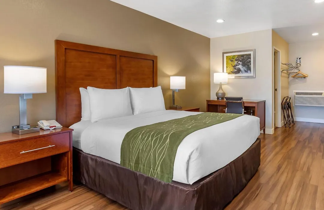 Comfort Inn Bishop-1