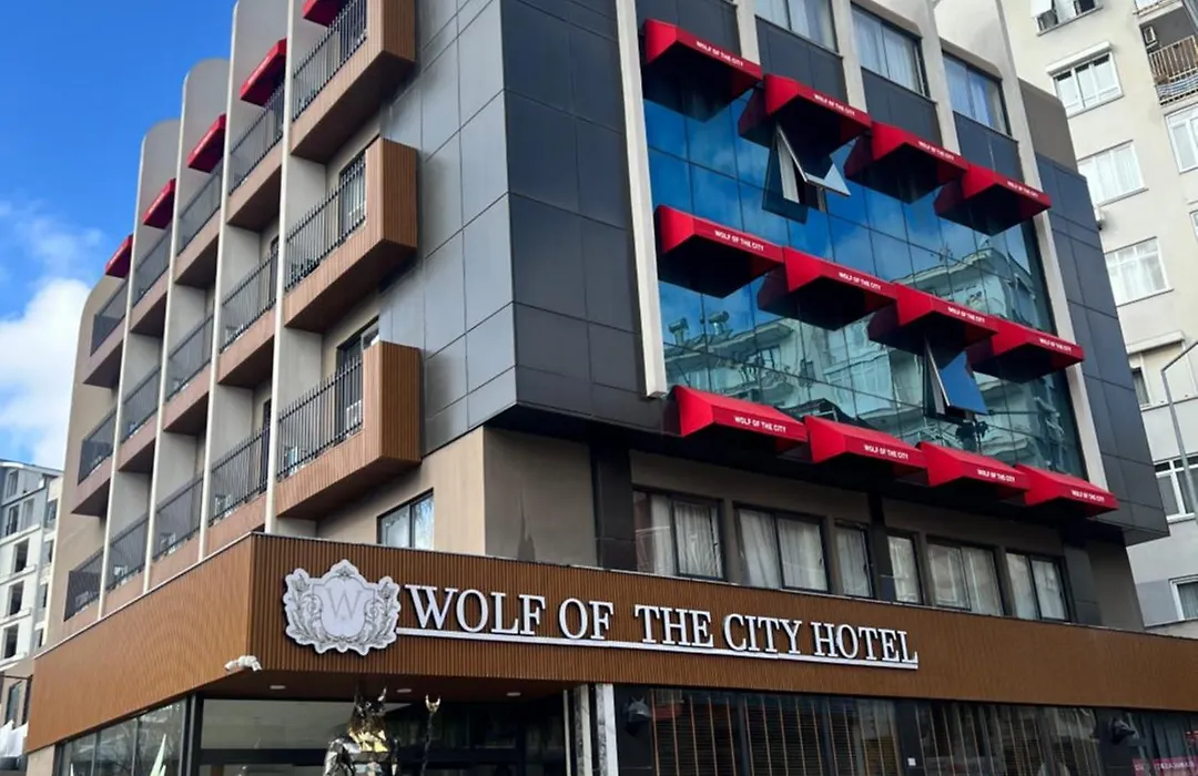 Wolf Of The City Hotel & Spa-1