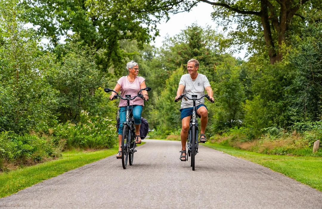 Vakantiepark Witterzomer-1
