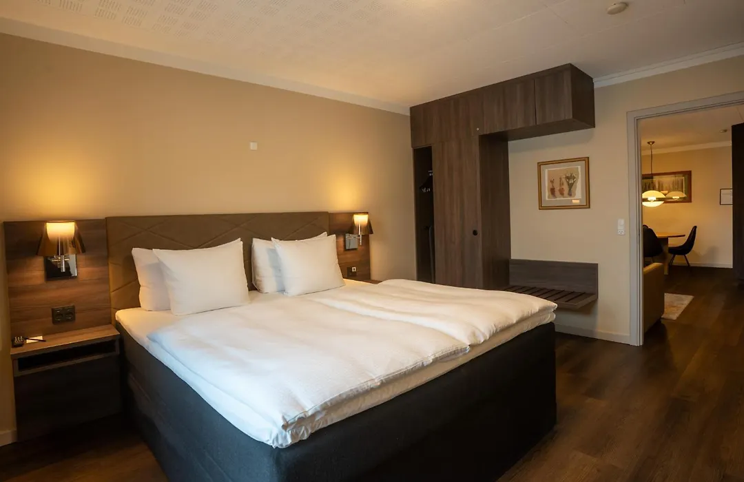 Radisson Blu Limfjord Hotel, Aalborg-1