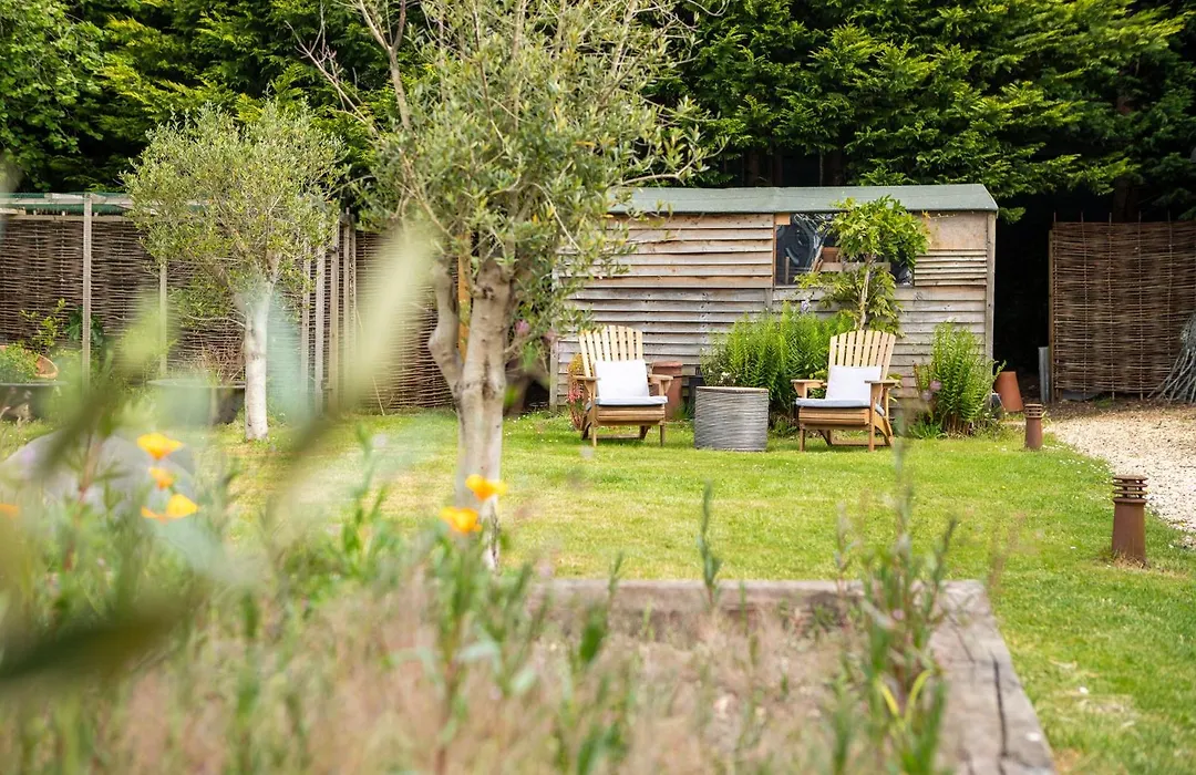 Daisybank Cottage Boutique Bed And Breakfast-1