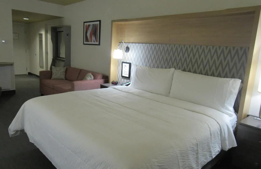 Holiday Inn Orlando International Dr-Icon By Ihg-1