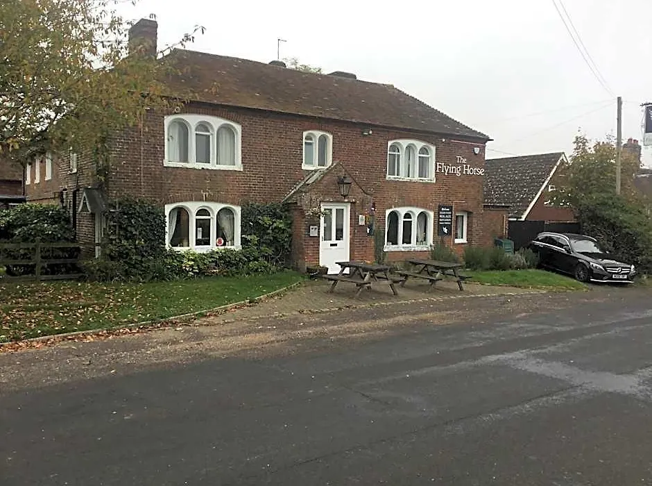 The Flying Horse-1